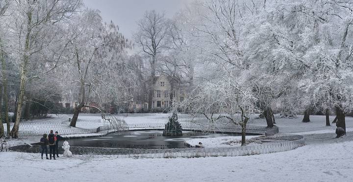 Winter in the park.
