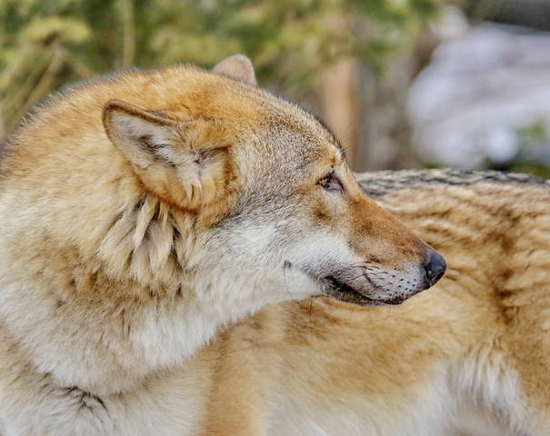 оглядываясь назад