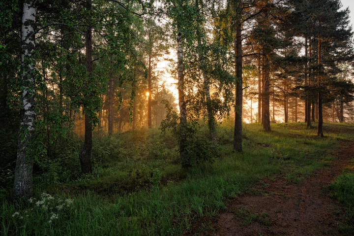 Краски летнего рассвета