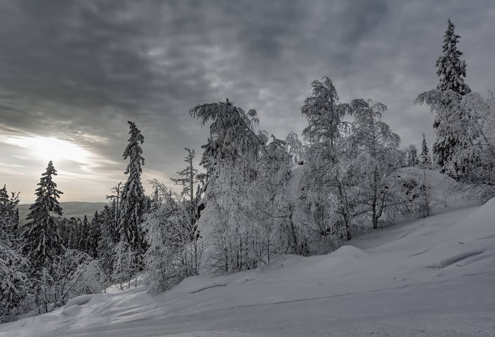 Луч света