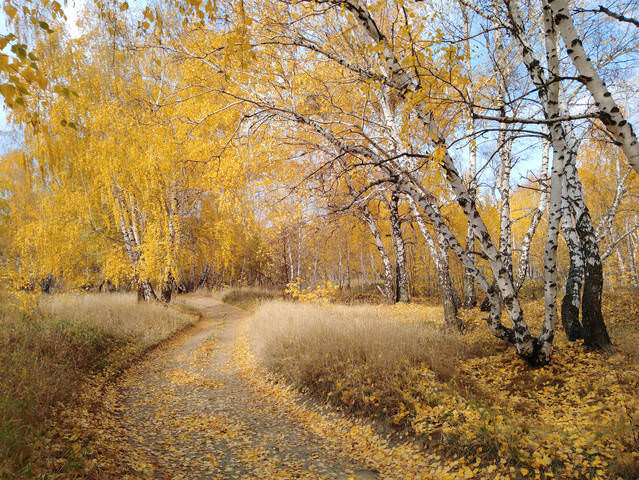 Про золотую осень