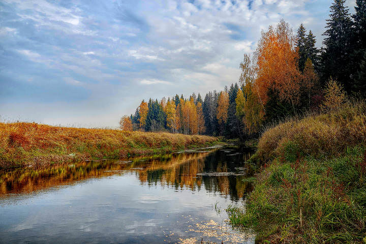 Краски осени