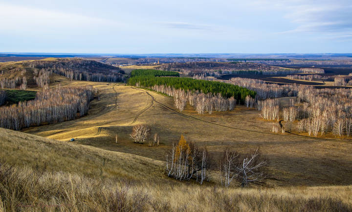 Поздняя осень