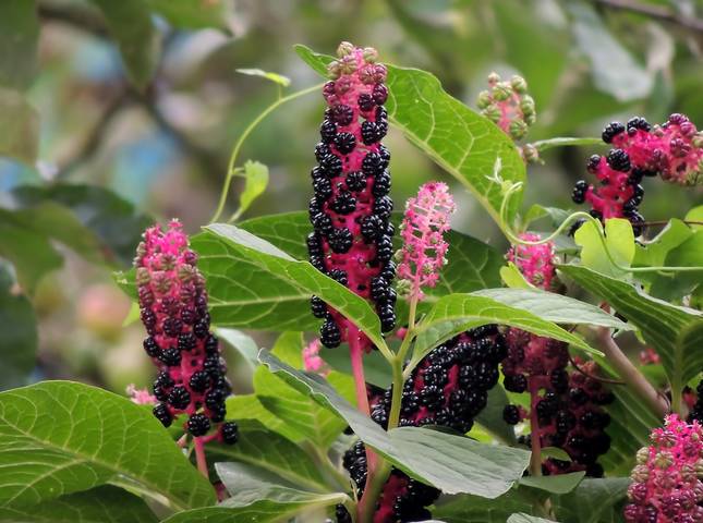 # 7