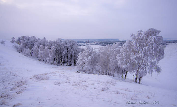 Белое безмолвие
