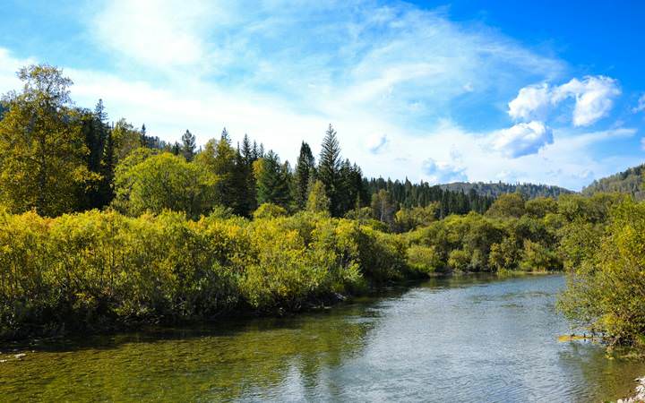 # 5