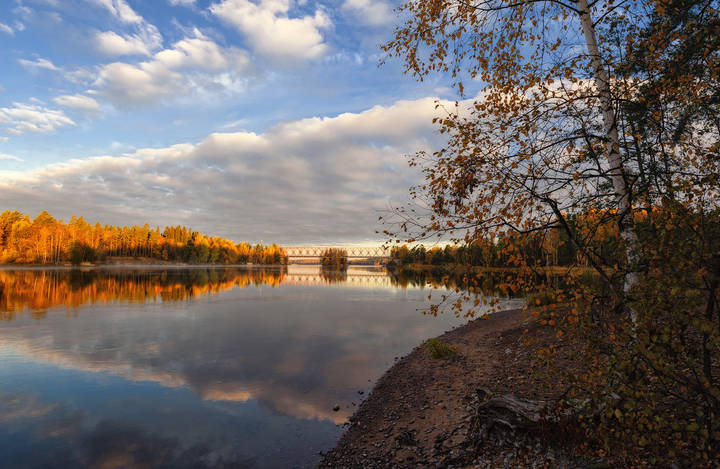 В зеркало смотрелась осень