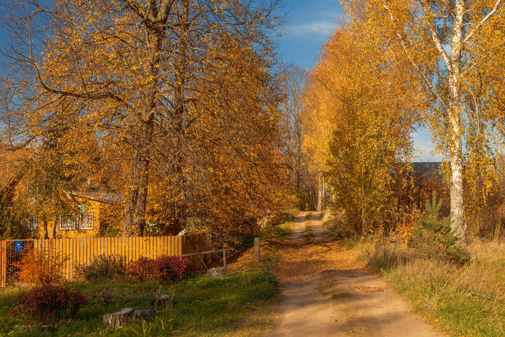 Осень...