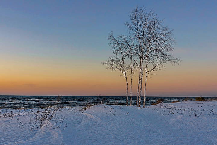 Saulkrasti 060219