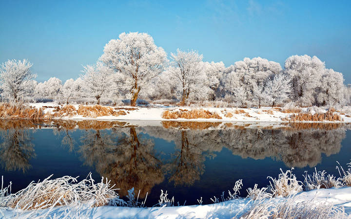 Красоты зимы.