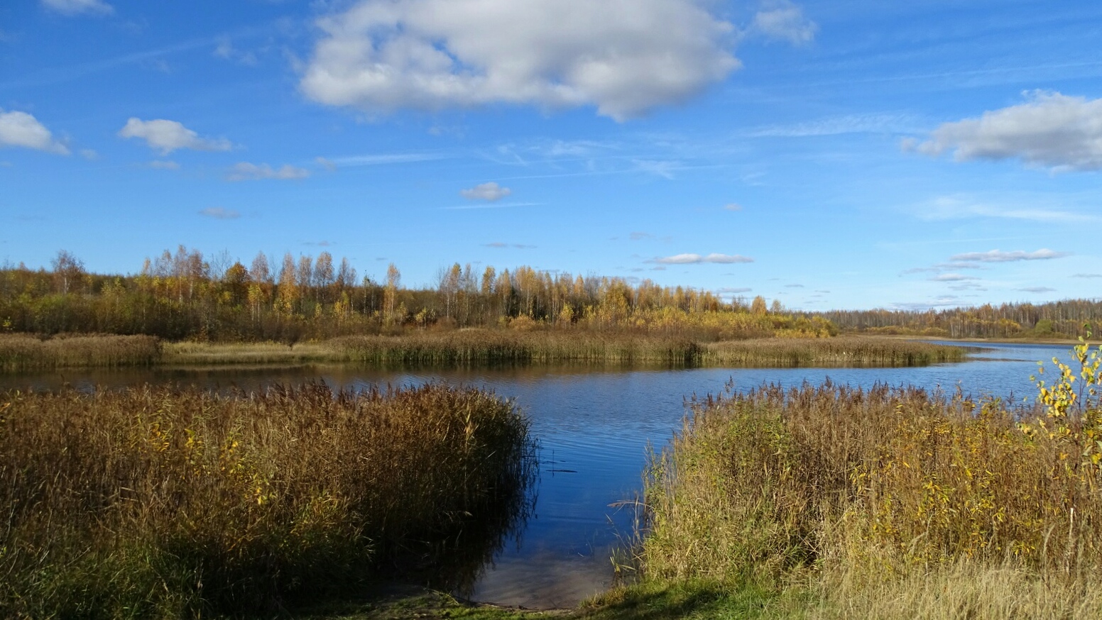 Рязановское озеро Смоленск