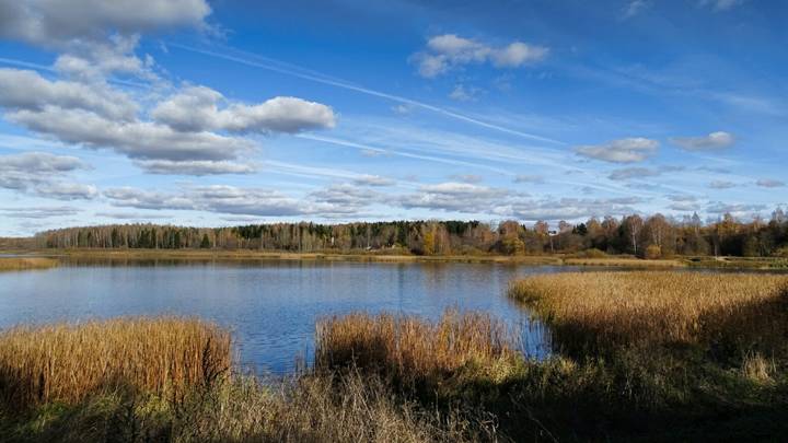 # 8
