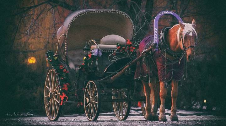 Запрягай карету, ветер .