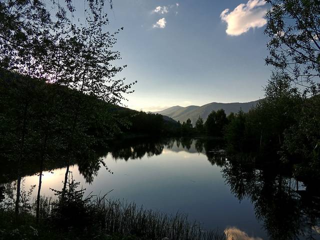 В Карпатах