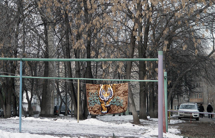 Без названия