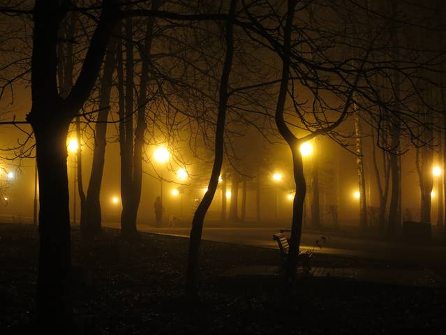 Раннее утро поздней осени