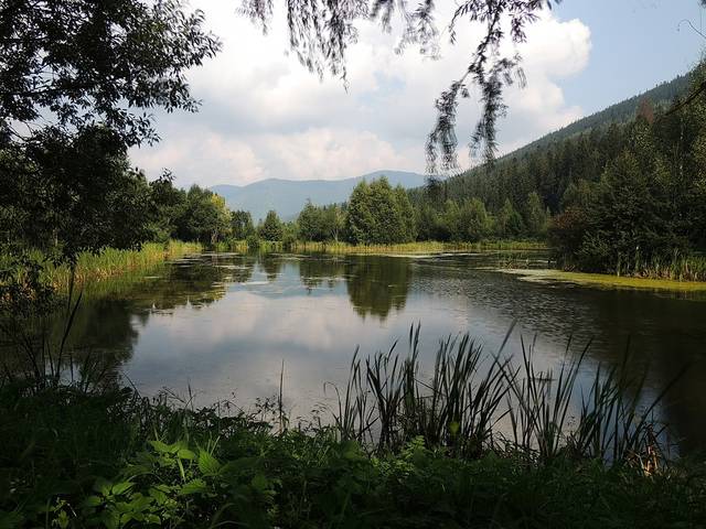 В Карпатах
