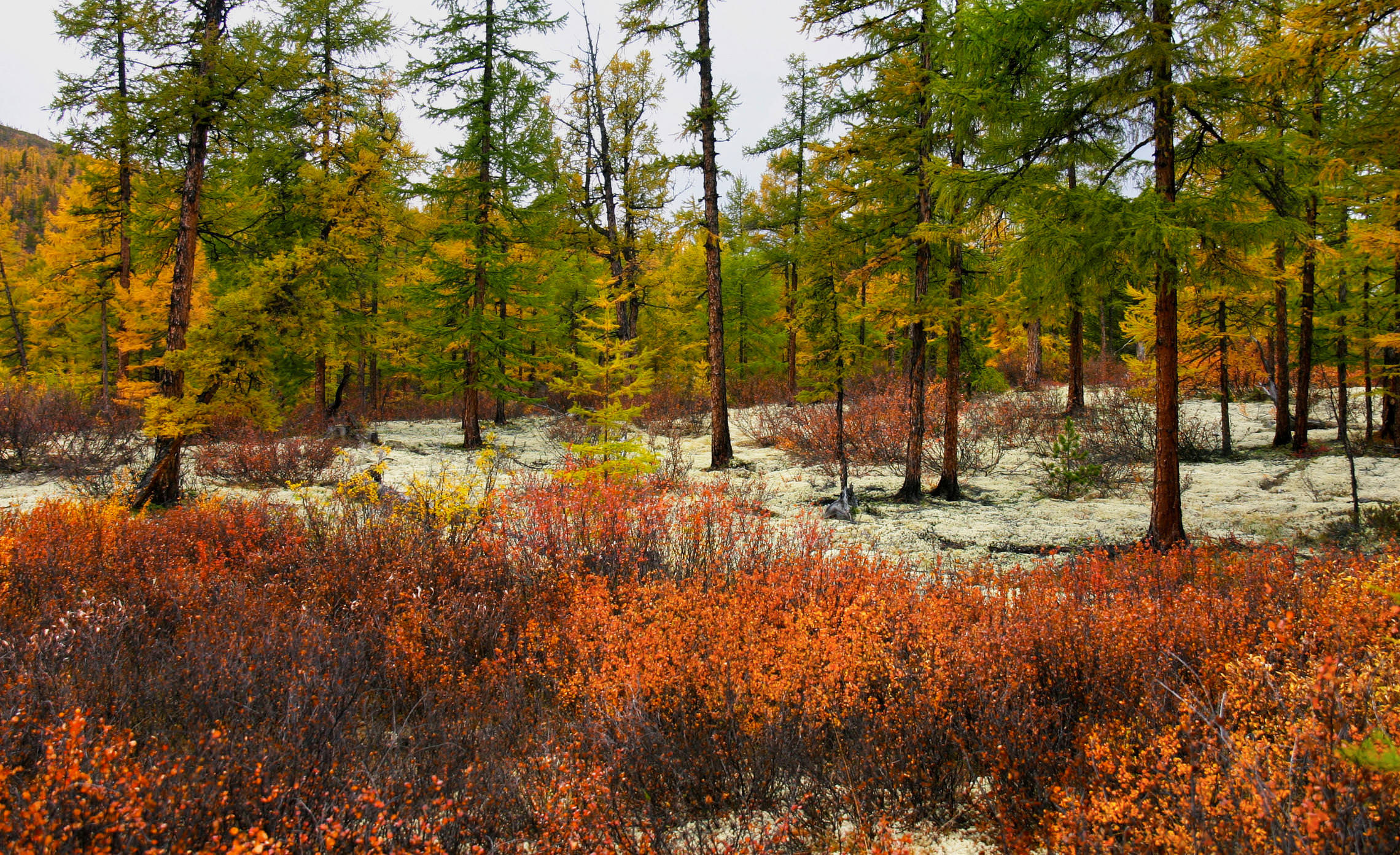 Осень в северном Прибайкалье.