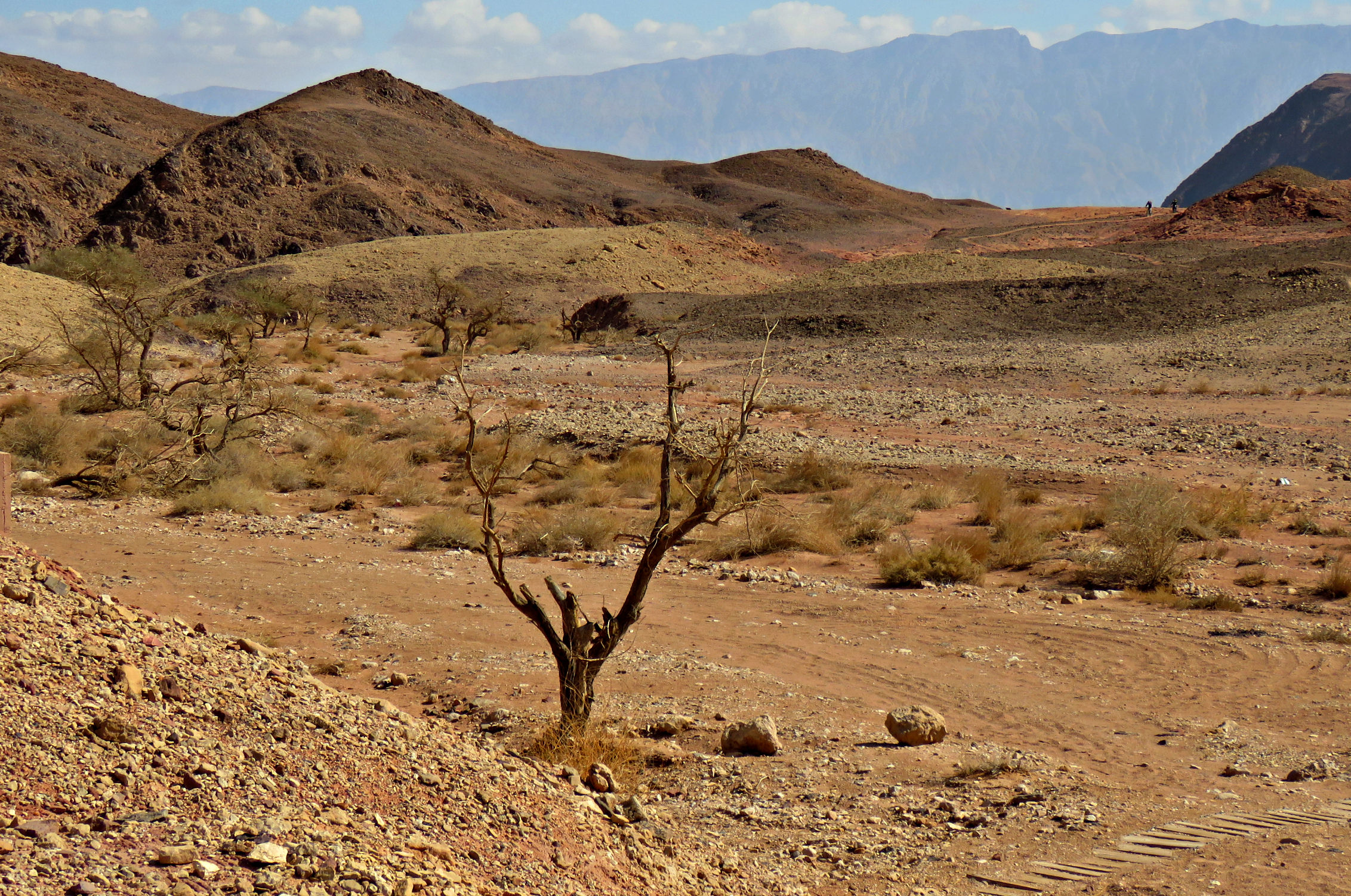Пустыня Арава | Фотосайт СуперСнимки.Ру