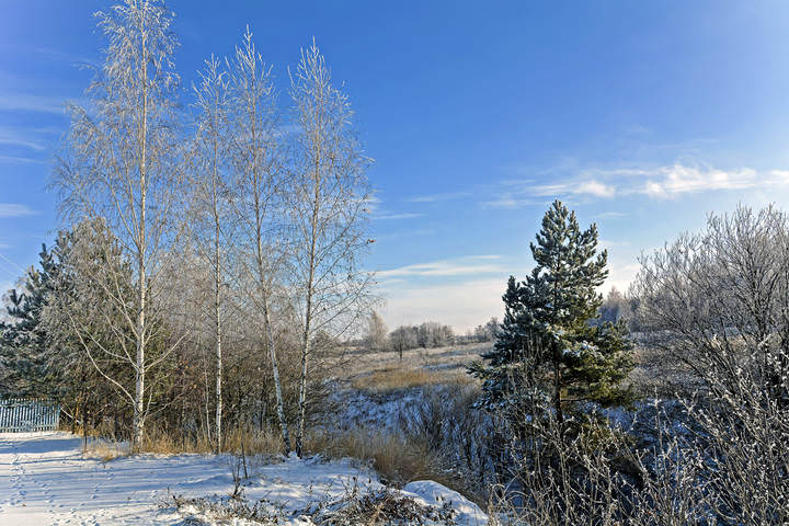 У овражка