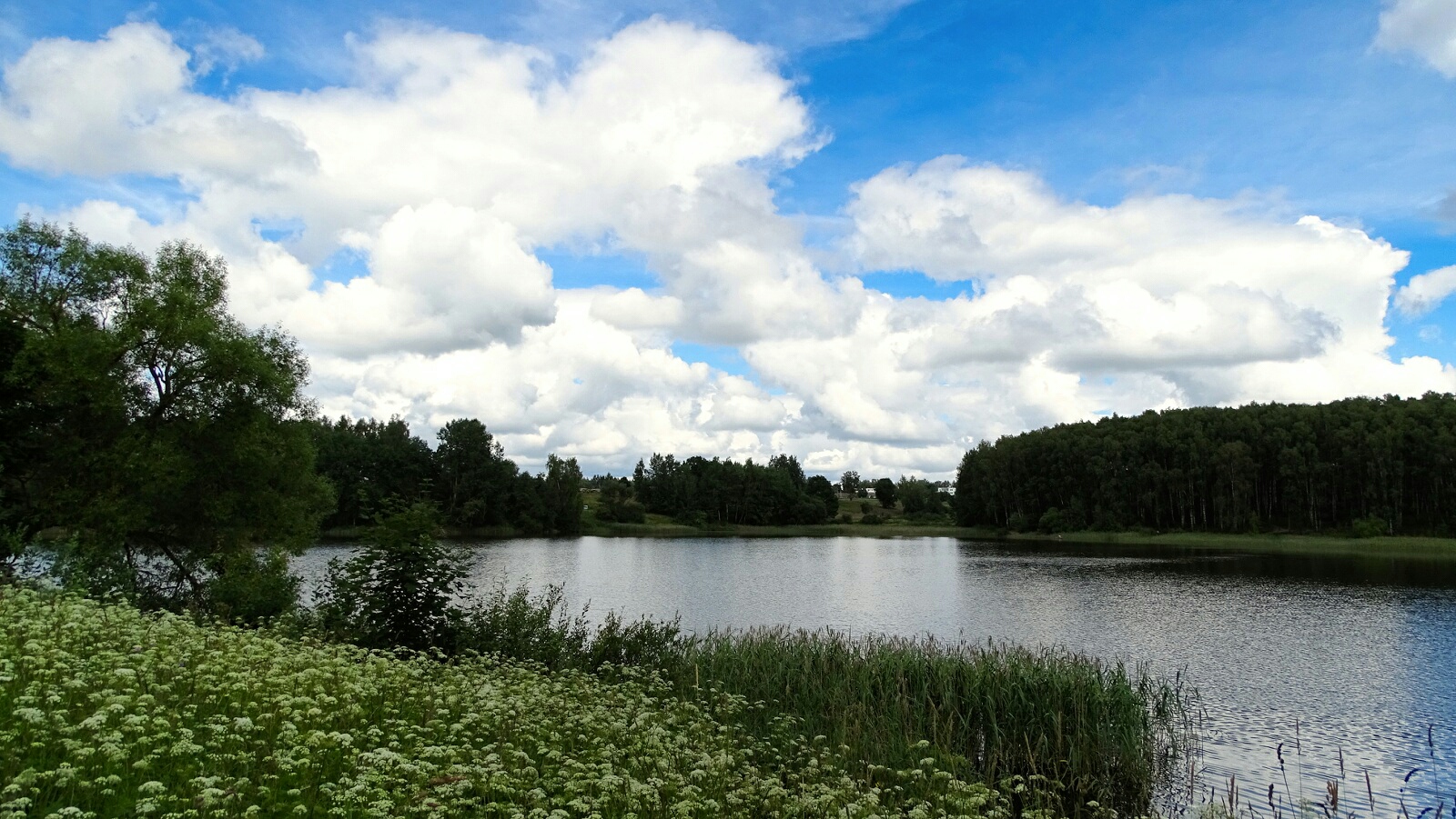 озера смоленской области фото