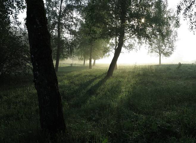 Проблеск солнца