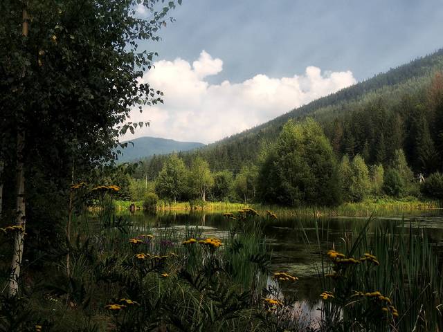 В Карпатах