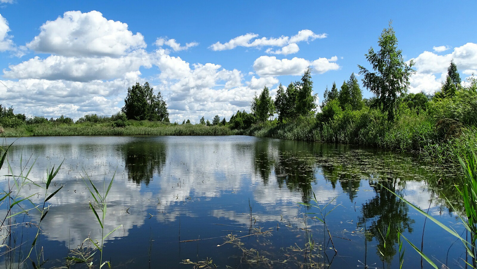 Озерный озеро Смоленская обл.