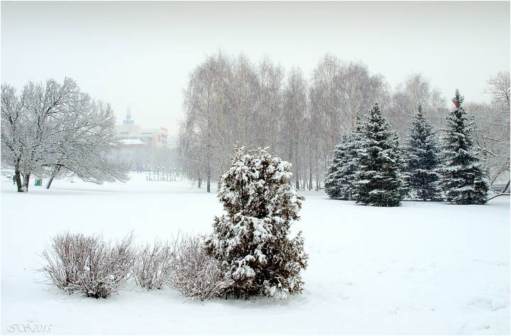 снегопад