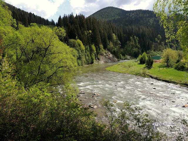 Серия "В Карпатах."