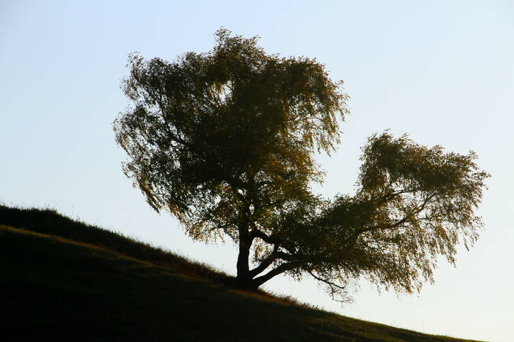 Одинокий...