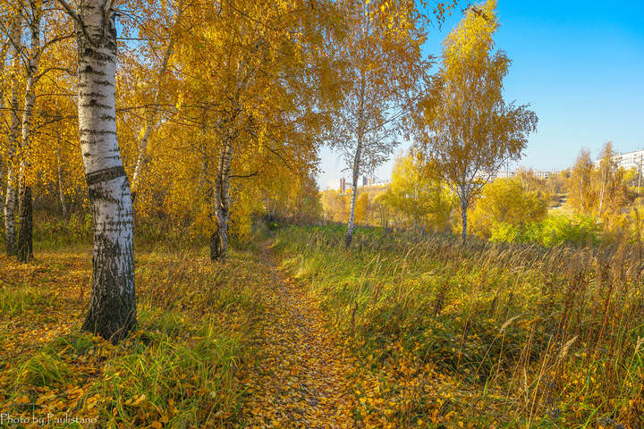Московская осень...