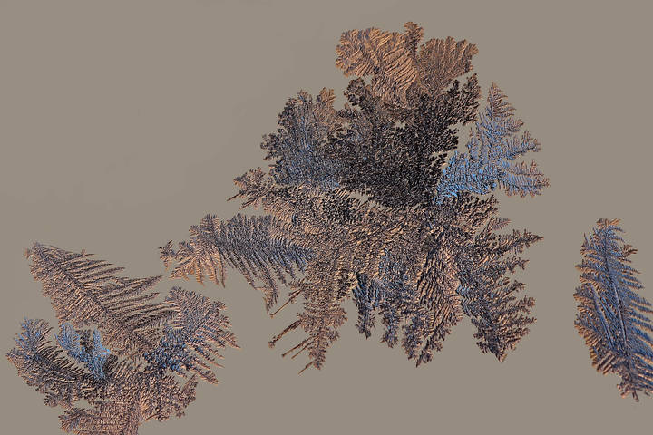 5c6cdf36e2cfda159c11845f