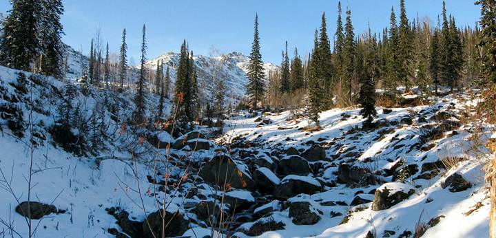 Горная Шория (Времена года)
