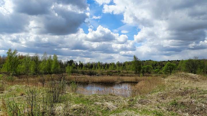 Смоленские озёра (9)