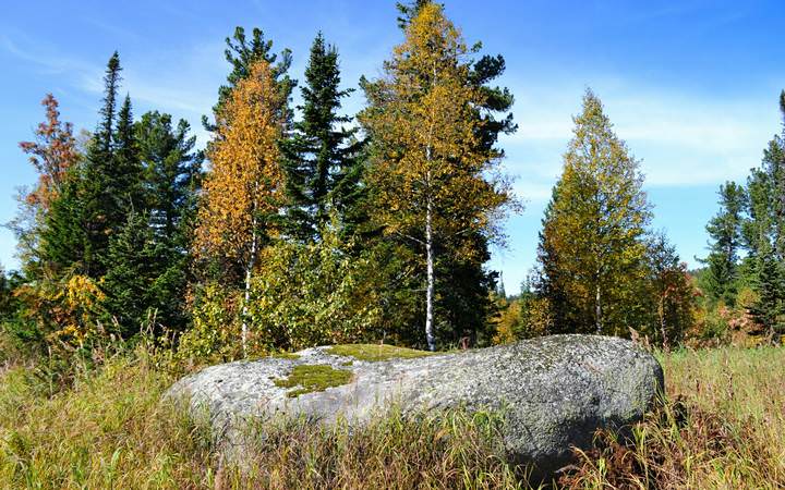 Горная Шория, Шерегеш (2)