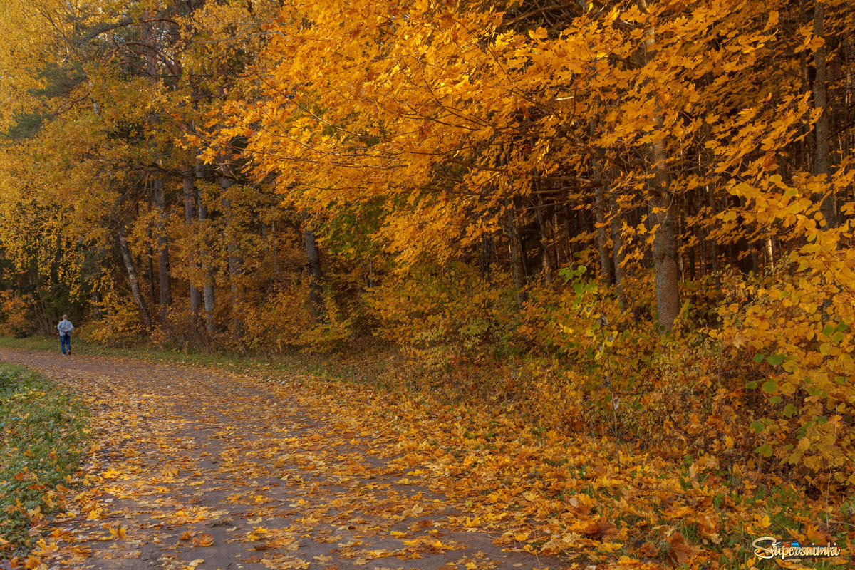 Осенними дорогами...