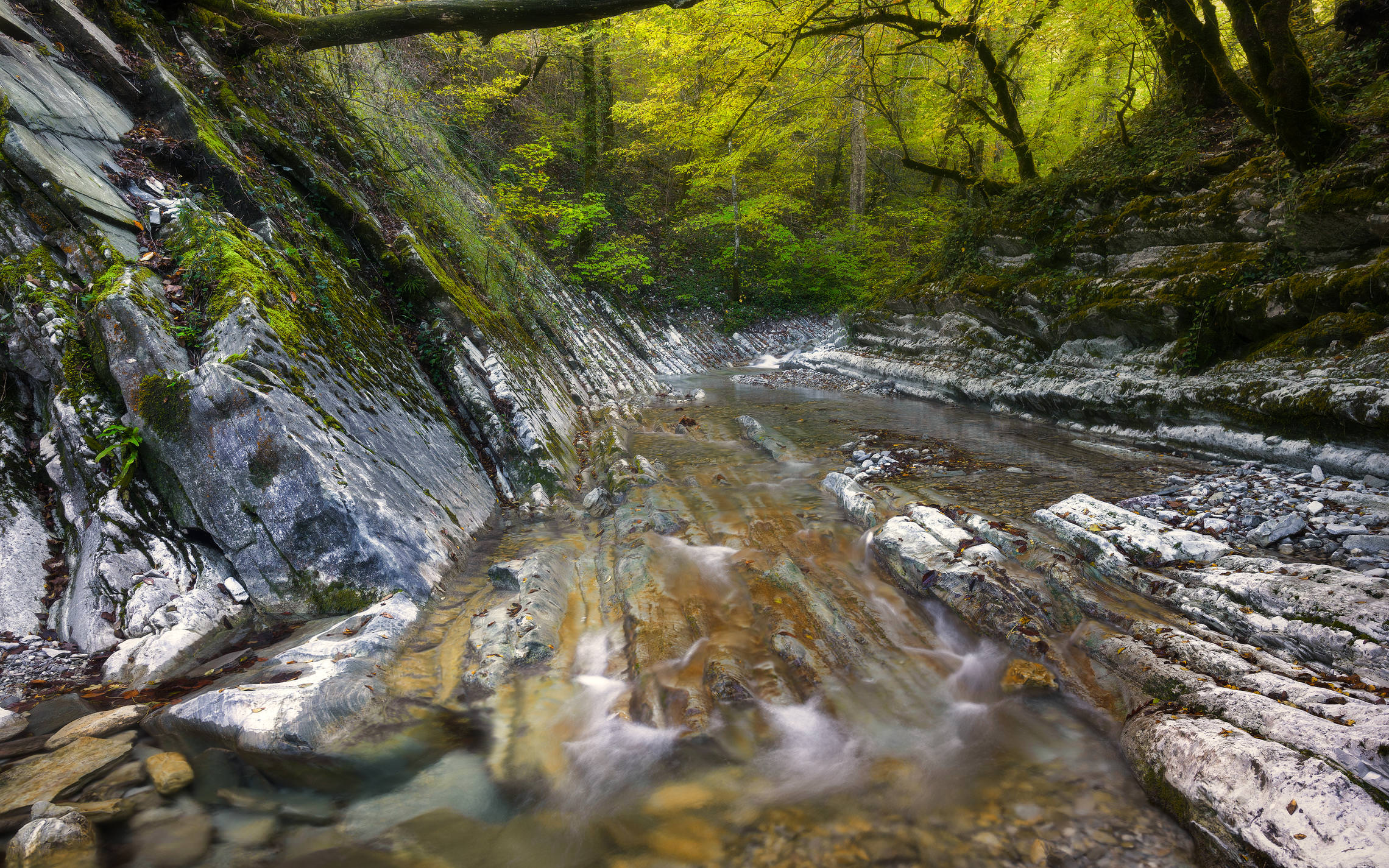Осень на речке Каменистой