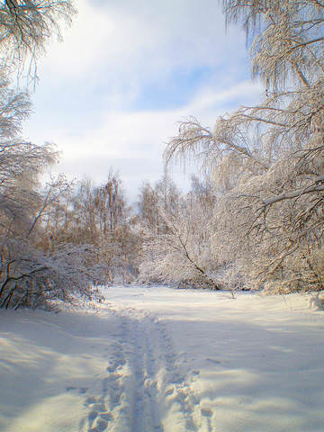 Все равно красавица