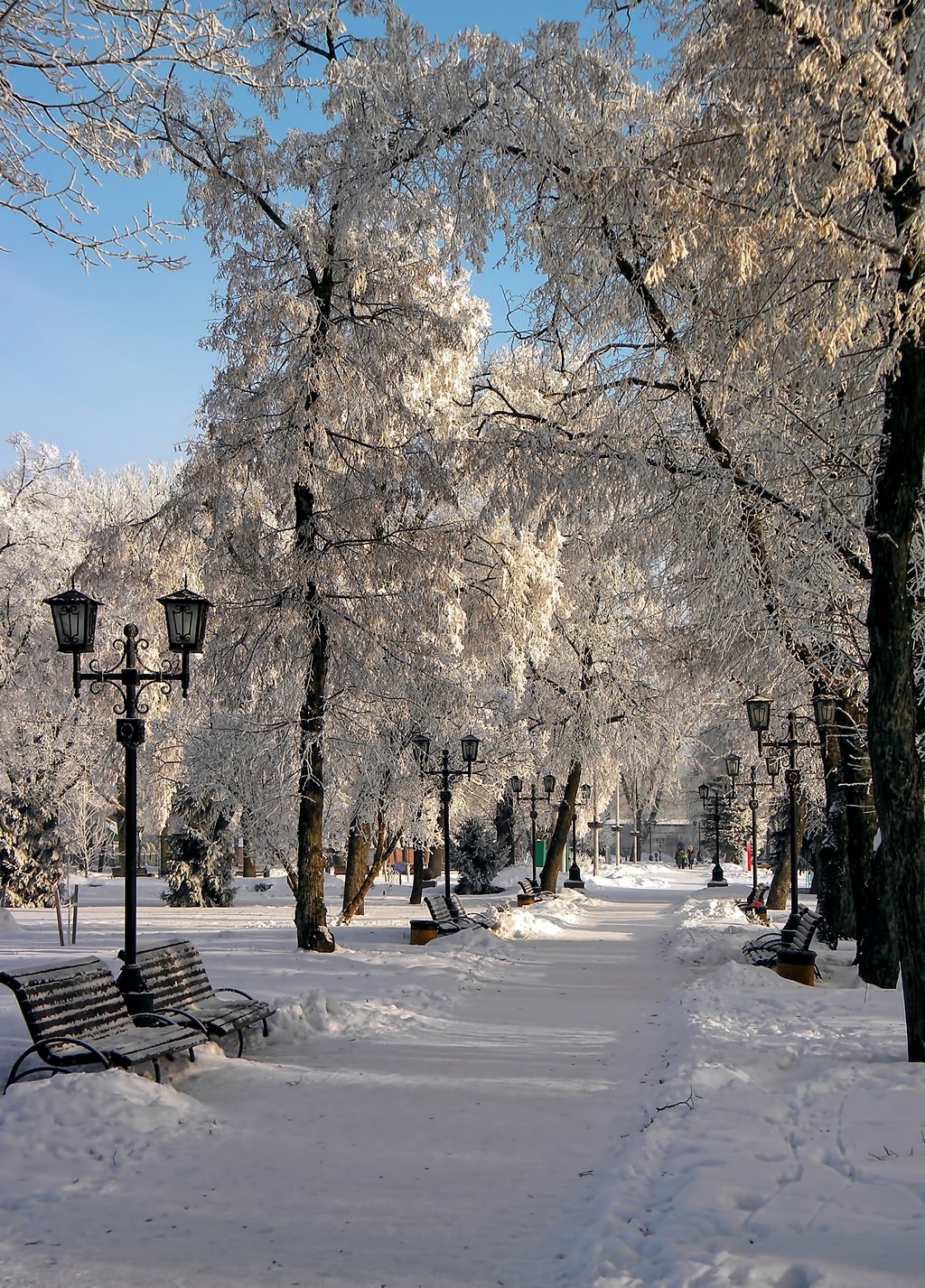Зима в провинции