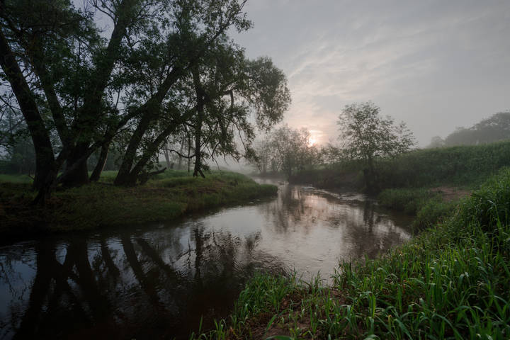 Июнь, раннее утро