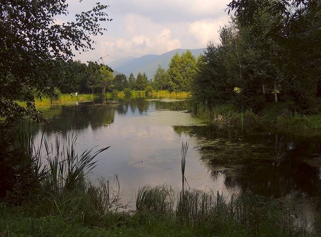 В Карпатах