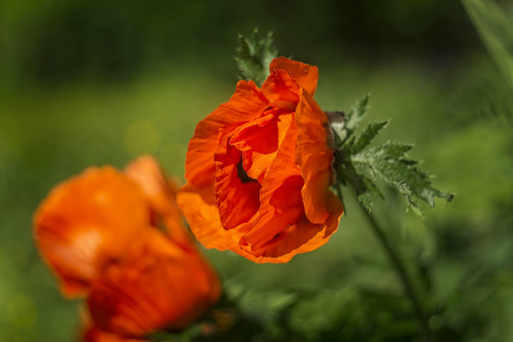 # 1