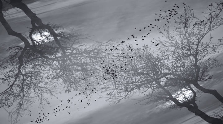BirdMaker