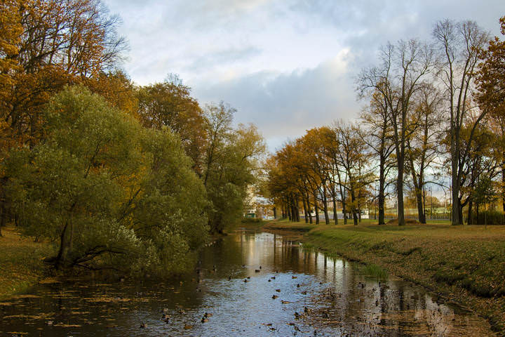 Осень