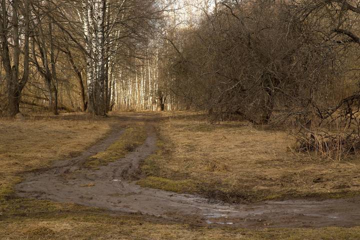 Мартовское