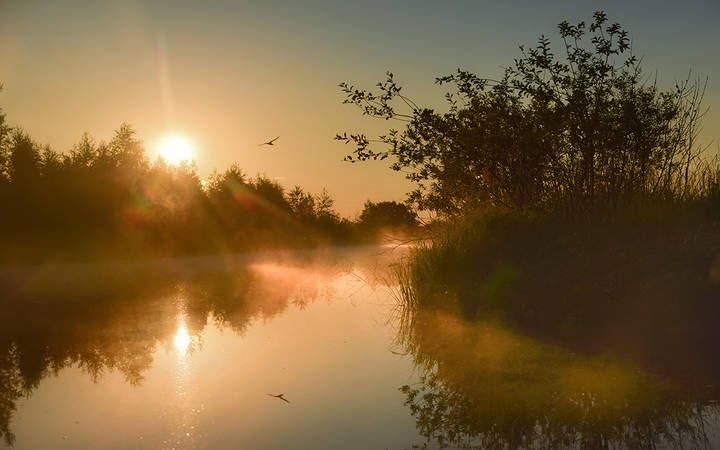 morning etude