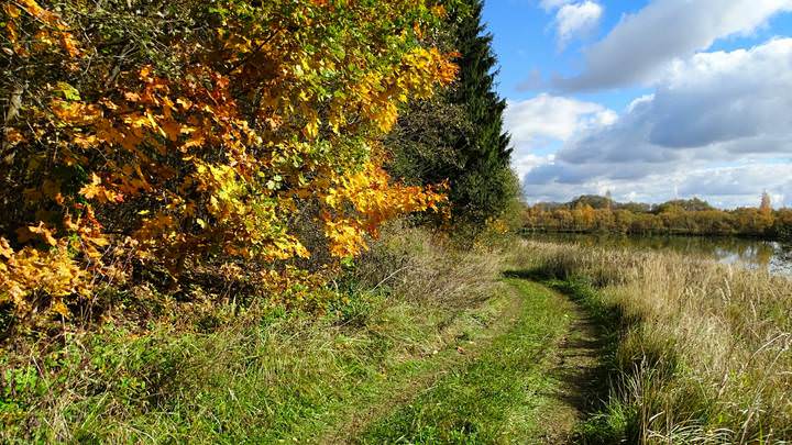 Смоленская осень (3)