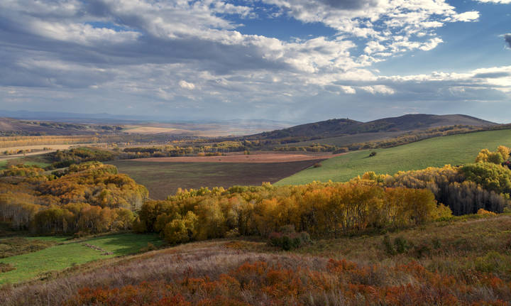 Осенняя
