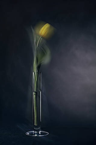 одинокий
